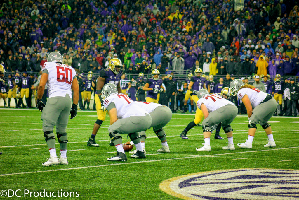 Apple Cup 2017