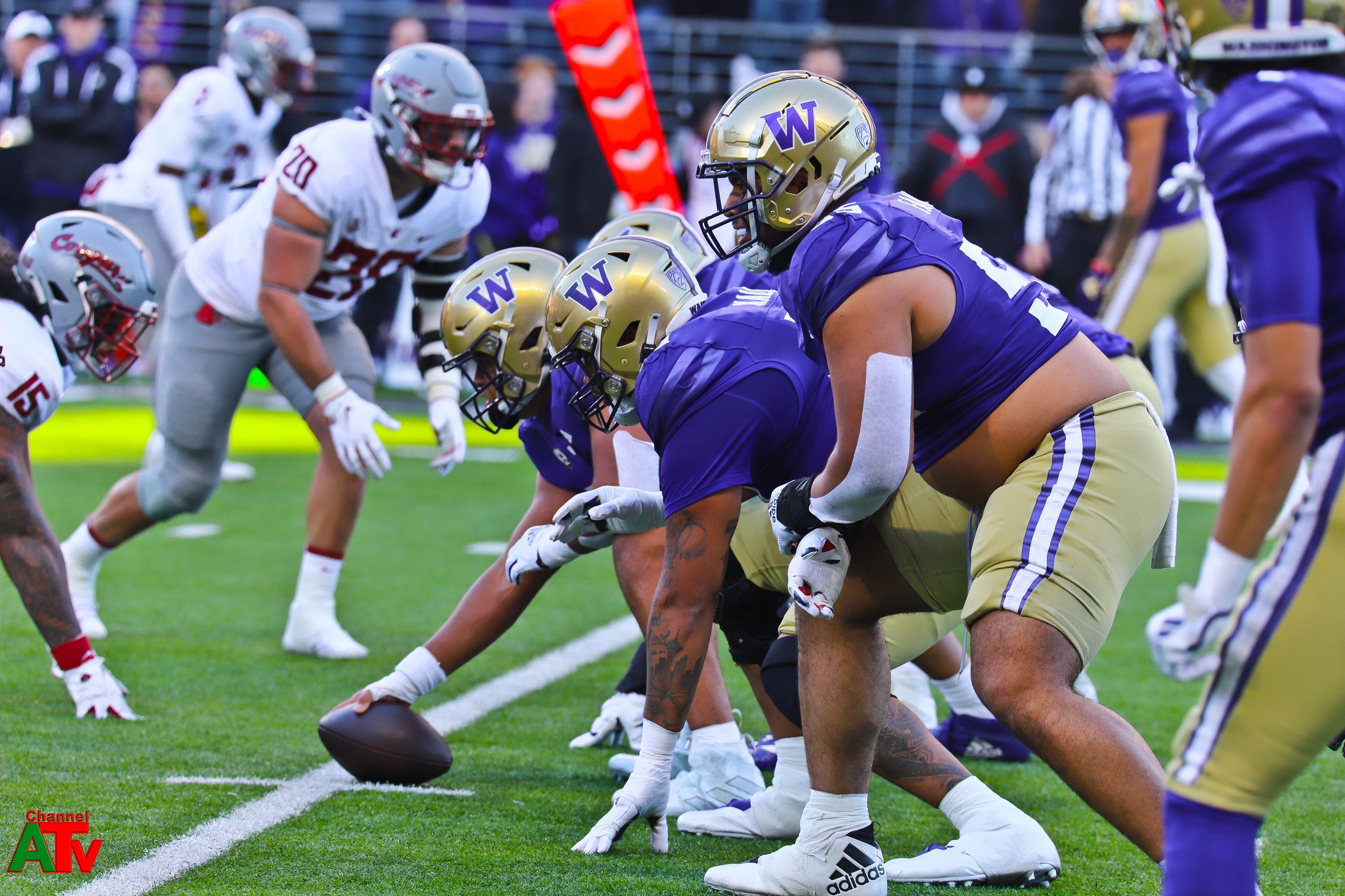 Apple Cup 2023: Washington Huskies Triumph in Undefeated Style